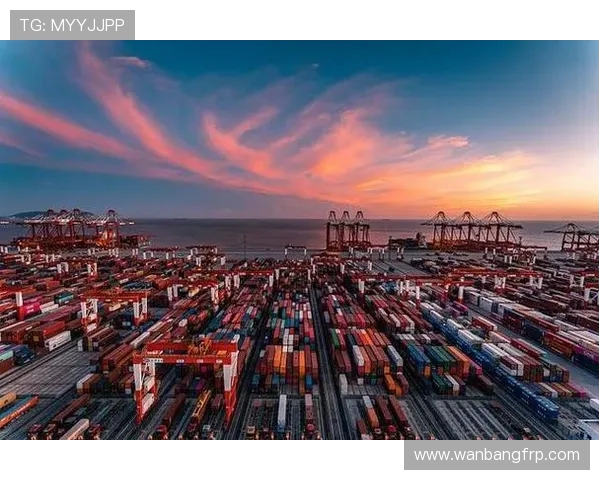 以上海海港为核心推动全球航运枢纽建设与区域经济合作发展新机遇