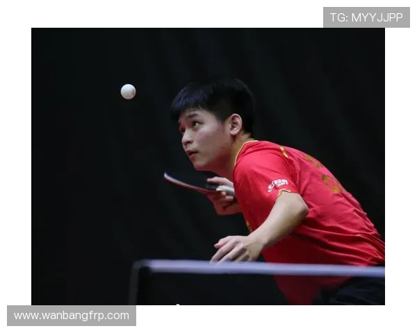 乒乓球技术与战术分析:从基础训练到竞技比赛的全面提升之路 乒乓球技术与战术分析:从基础训练到竞技比赛的全面提升之路