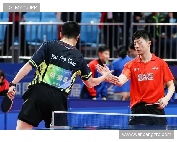 乒乓球技术与战术的全面解析以及竞技水平提升的有效途径 乒乓球技术与战术的全面解析以及竞技水平提升的有效途径