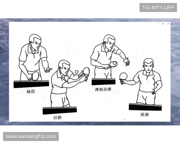 乒乓球技术与战术的完美结合:从基础入门到竞技高手的全面解析 乒乓球技术与战术的完美结合:从基础入门到竞技高手的全面解析