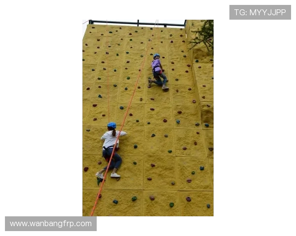 西安攀岩队在全国攀岩联赛中的速度表现分析与点评