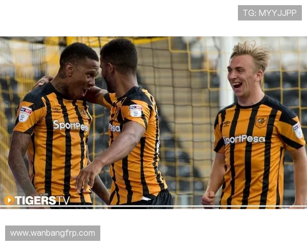 2017年赫尔城与狼队激战回顾精彩瞬间与战术分析