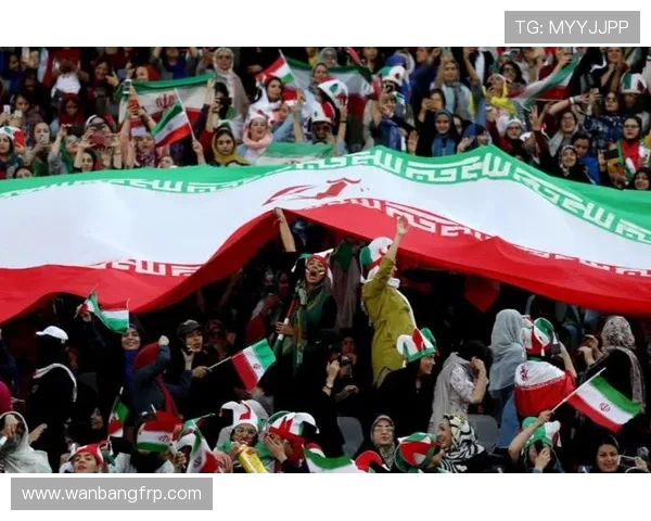 伊朗与韩国足球历史交锋回顾及未来展望分析