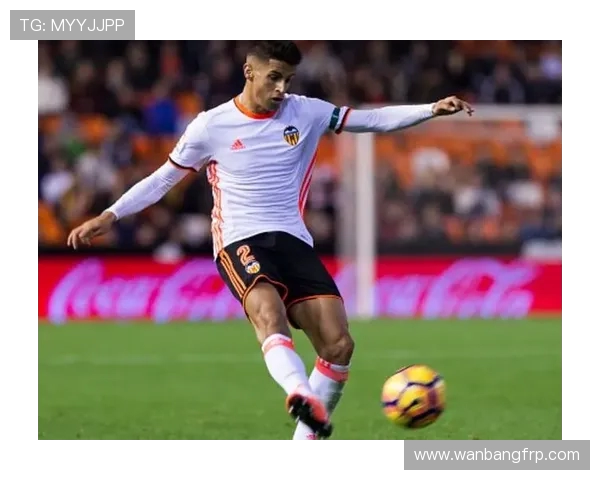 坎塞洛在足球场上的辉煌历程与未来发展潜力分析